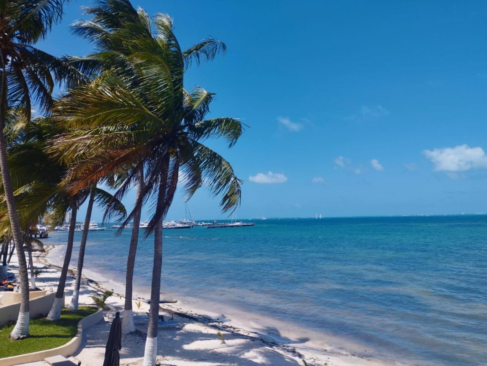 Cancun Ocean View Playa Del Nino 客房 照片